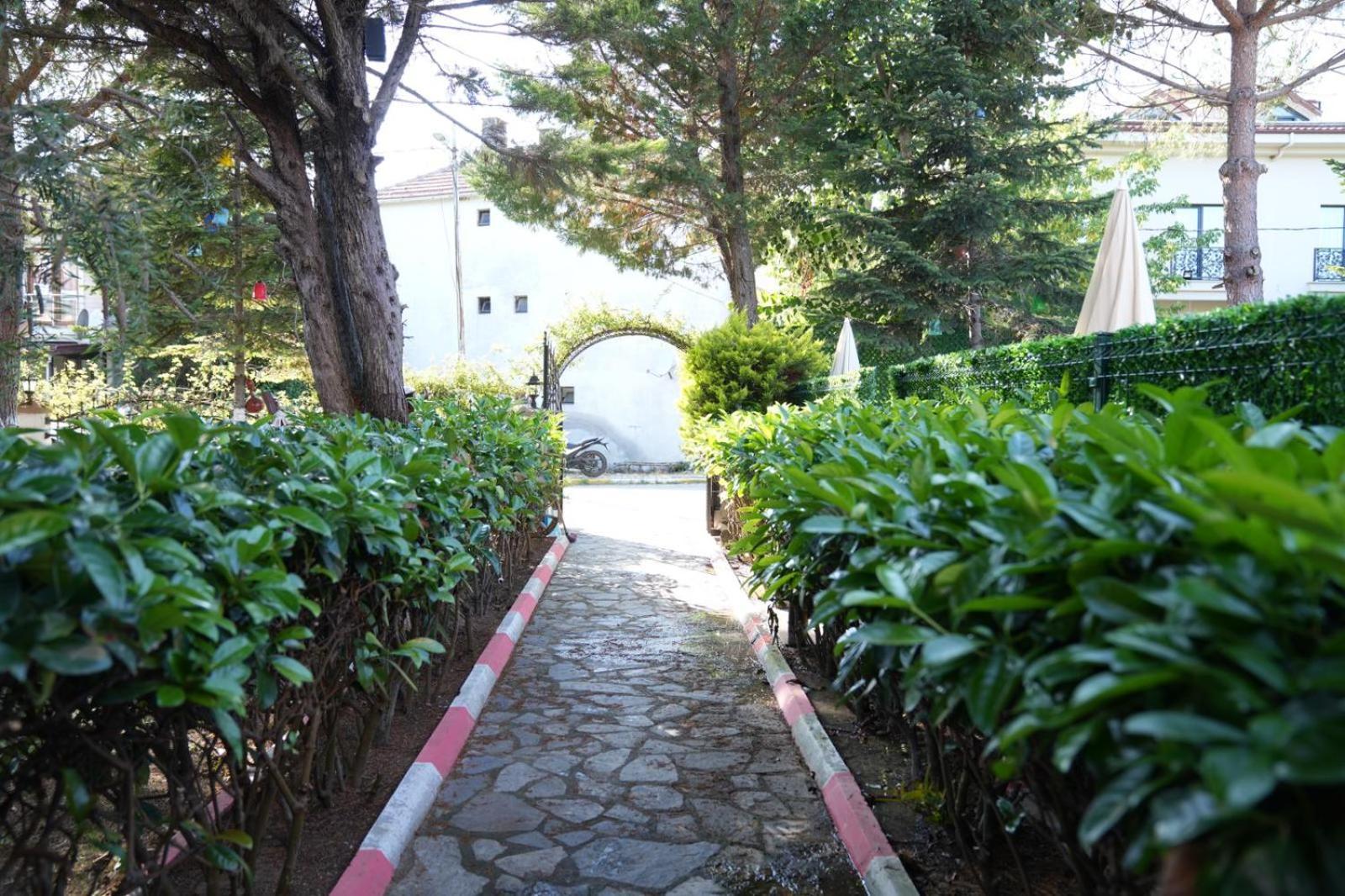 Butterfly Boutique Hotel Agva 外观 照片